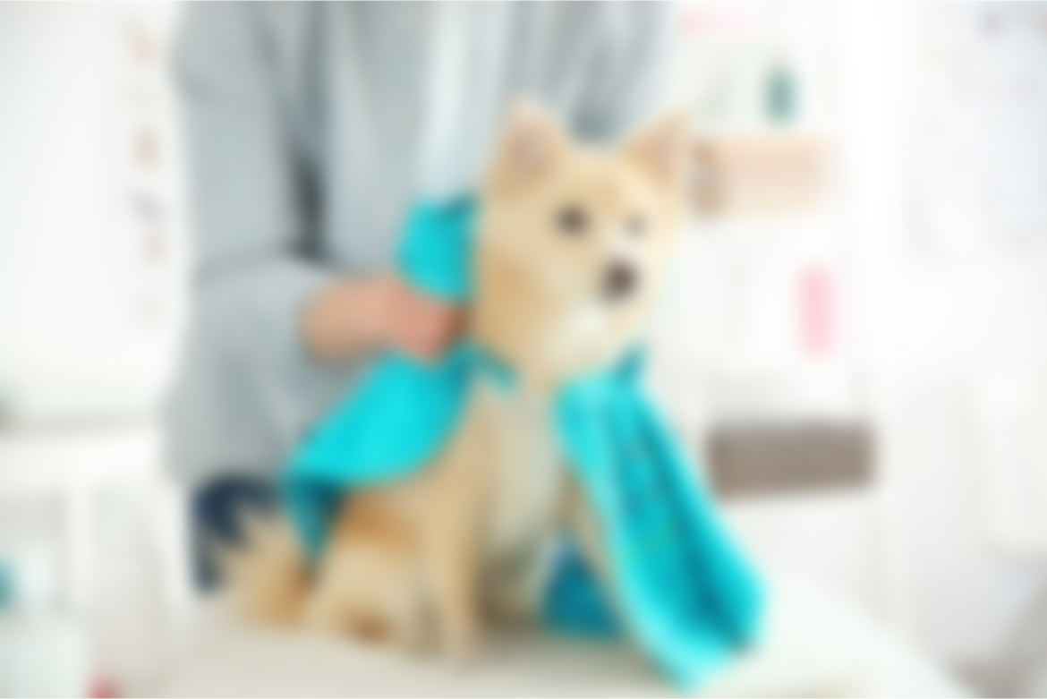 Post With Small Image